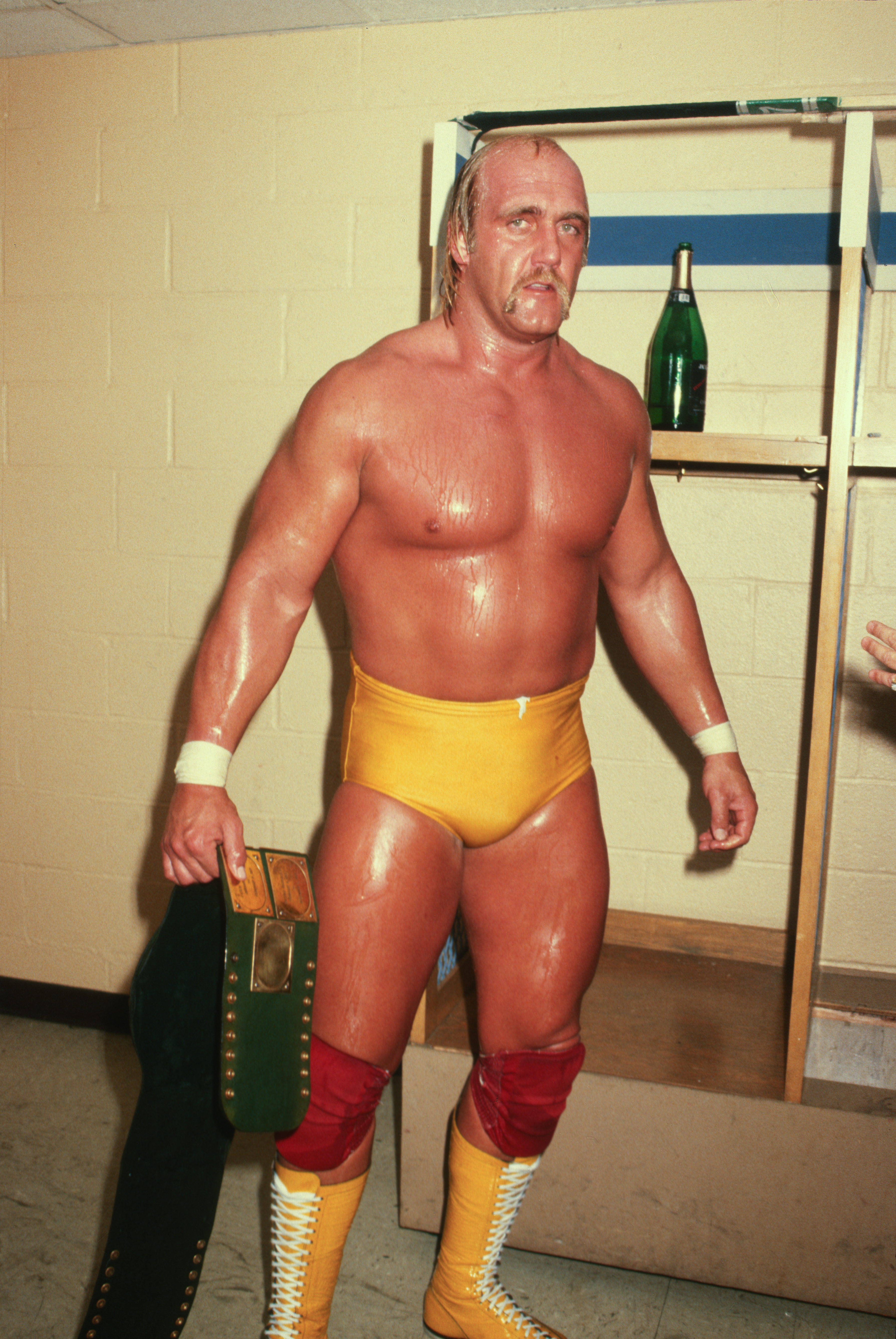 Hulk Hogan 