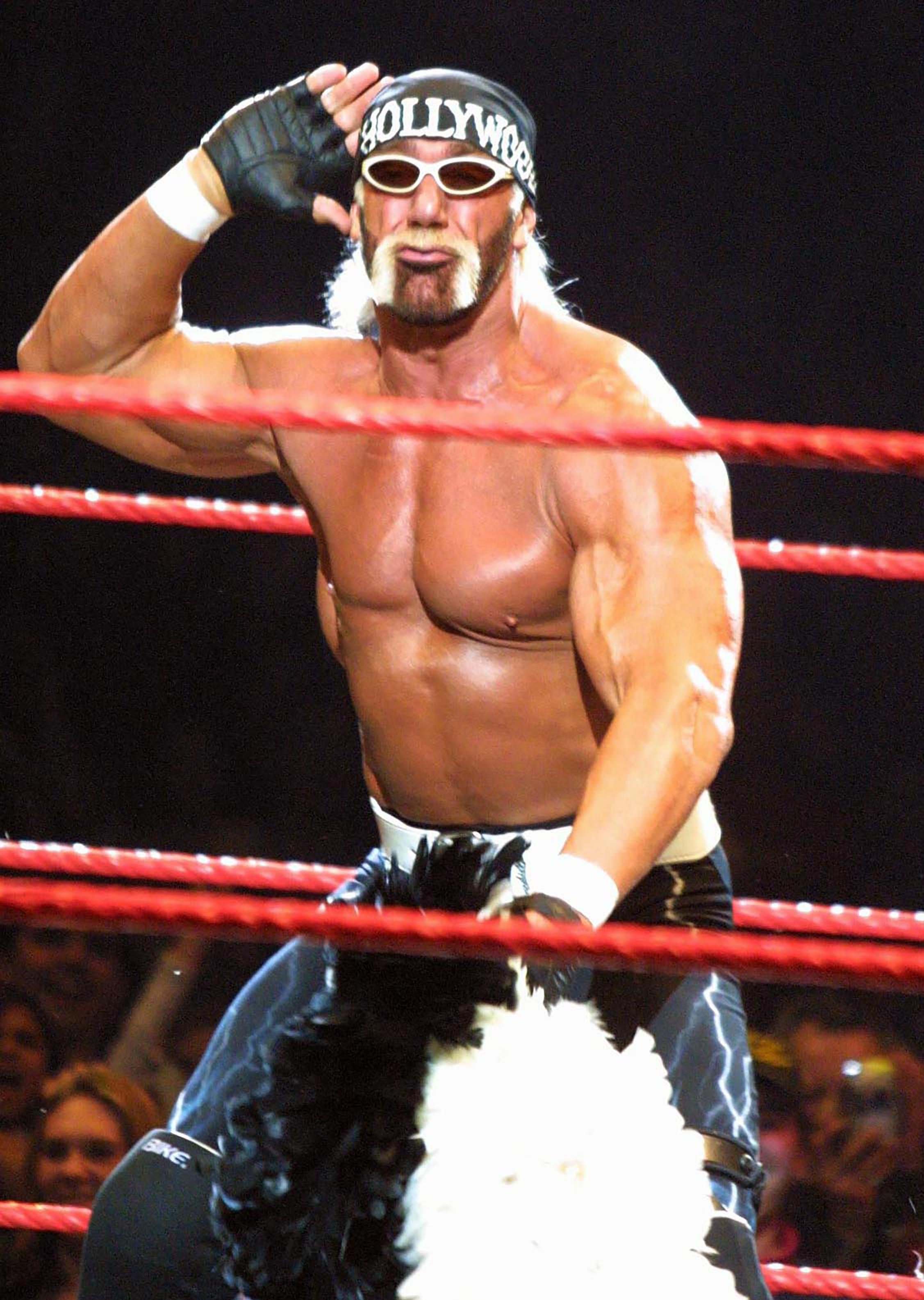 Hogan 