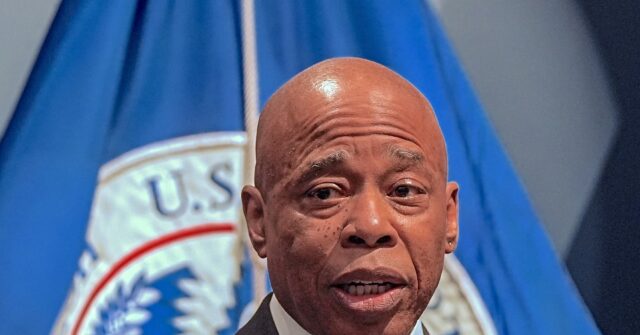 Adams: Illegal Immigrants Should Get Benefits Because They’re ‘Innocent’