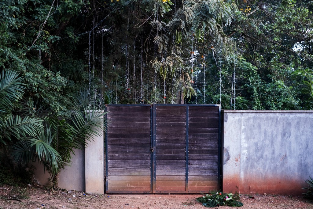 Wooden gate set in a concrete wall, with lush vegetation behind.