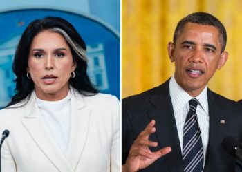 Tulsi Gabbard fires back at Obama over ‘treasonous conspiracy’ of Russia collusion narrative: ‘Absolute failure’