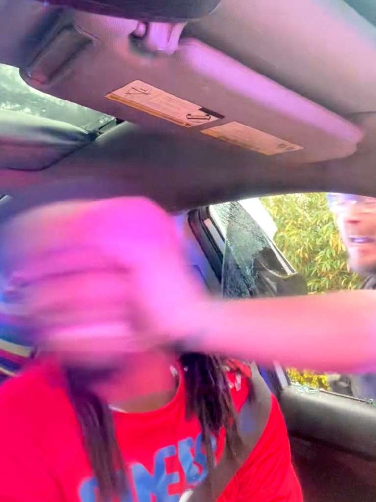 A Jacksonville police officer strikes William McNeil Jr. during the traffic stop. 