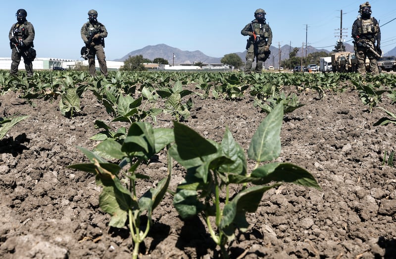 CAMARILLO, CALIFORNIA - JULY 10: Federal agents block a field and road during an ICE immigration raid at a nearby licensed cannabis farm on July 10, 2025 near Camarillo, California. Protestors stood off with federal agents for hours outside the farm in the farmworker community in Ventura County. A Los Angeles federal judge is set to rule Friday on a temporary restraining order which would restrict area immigration enforcement operations.  (Photo by Mario Tama/Getty Images)