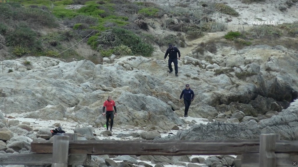 Monterey plane crash
