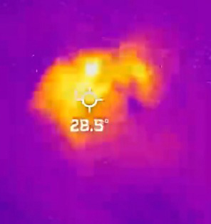 Thermal image of Robo-bunnies at 28.5°.