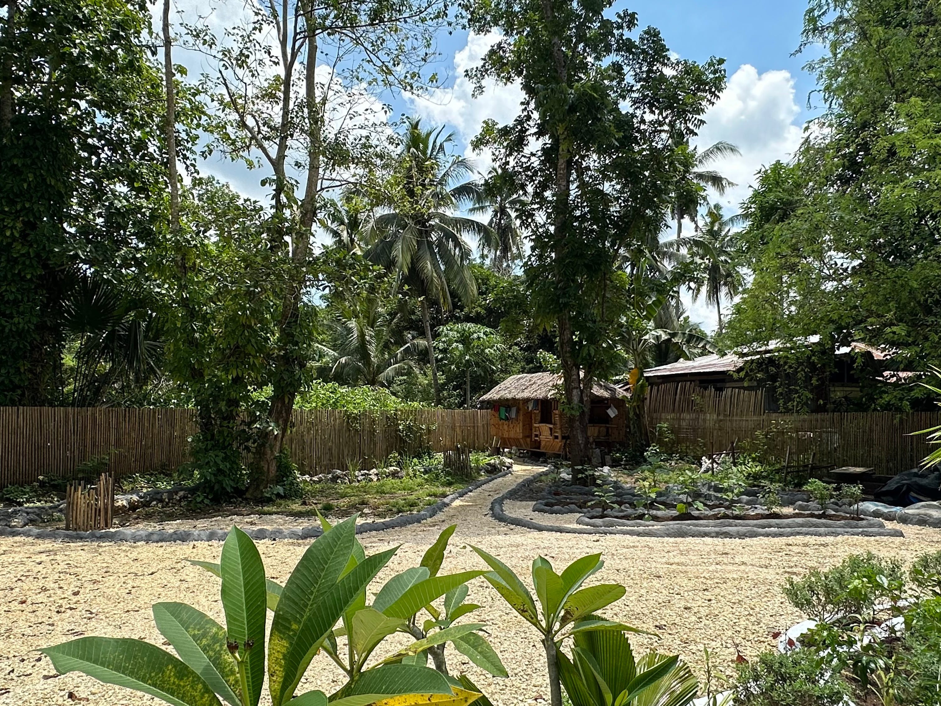The garden.