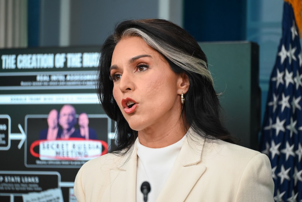 Tulsi Gabbard at a press conference.
