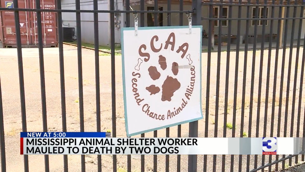 Mississippi animal shelter sign; man mauled to death by dogs.