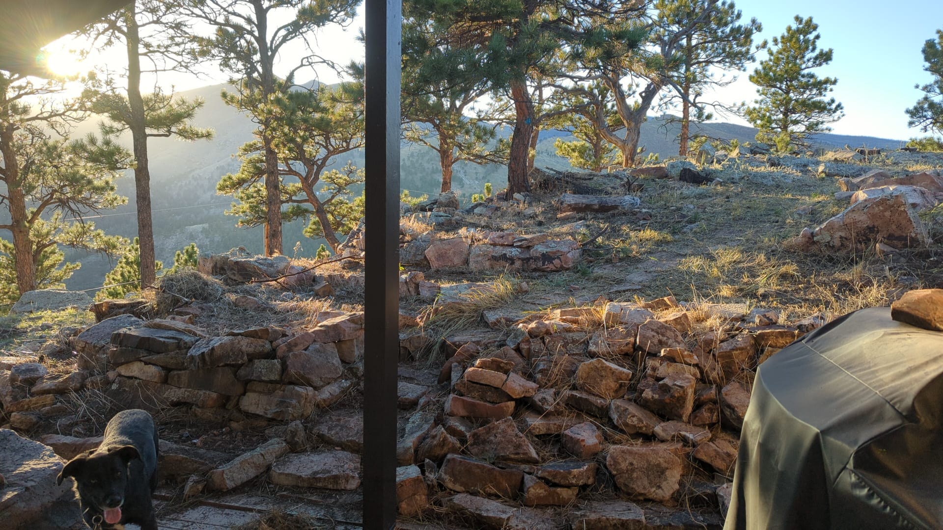 backyard of mountain home in colorado with trees everywhere