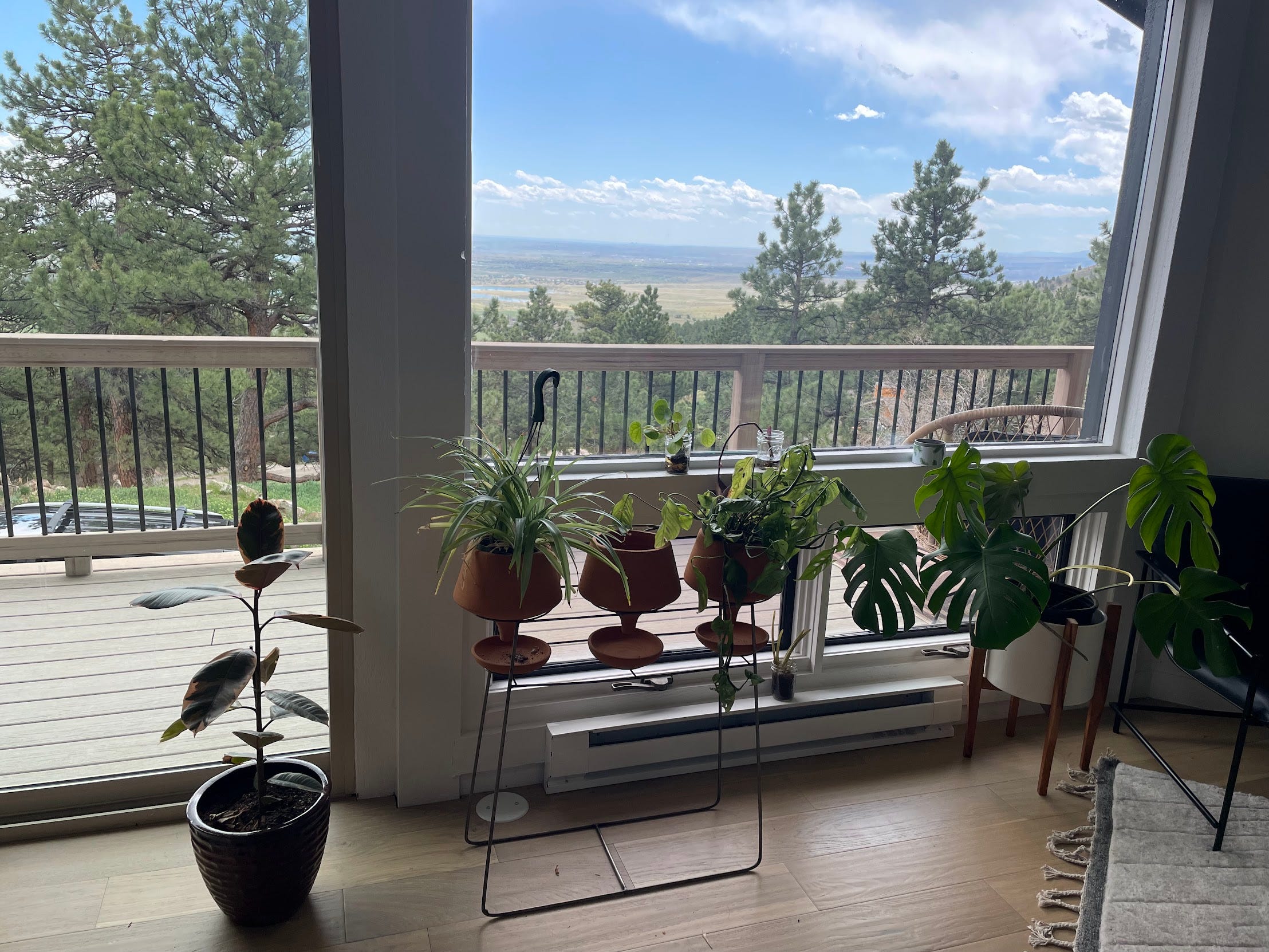 shot of colorado horizon from inside house