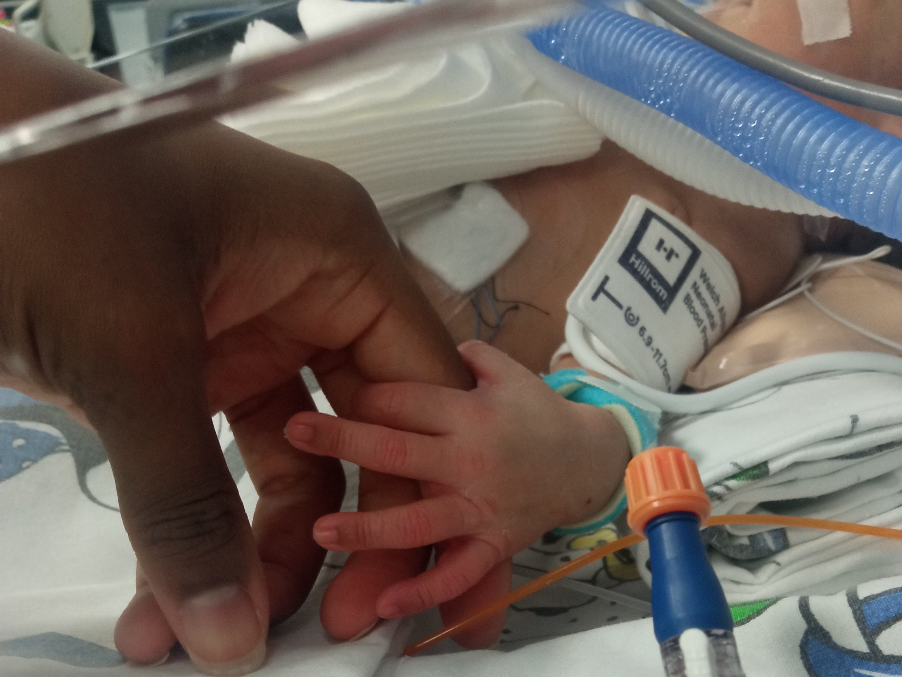 Mom holding baby's hand in the NICU