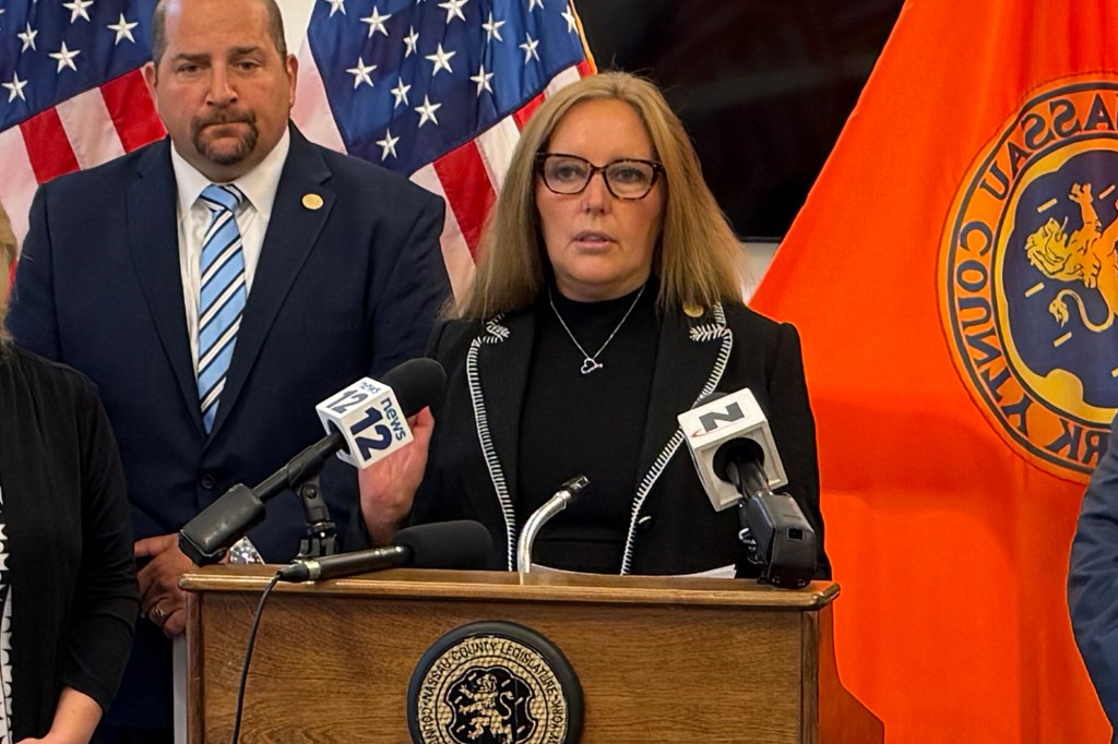 Minority Leader Delia DeRiggi-Whitton at a press conference.