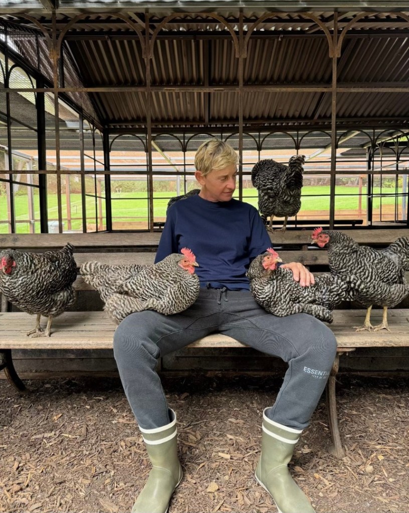 Ellen DeGeneres holding chickens in England.