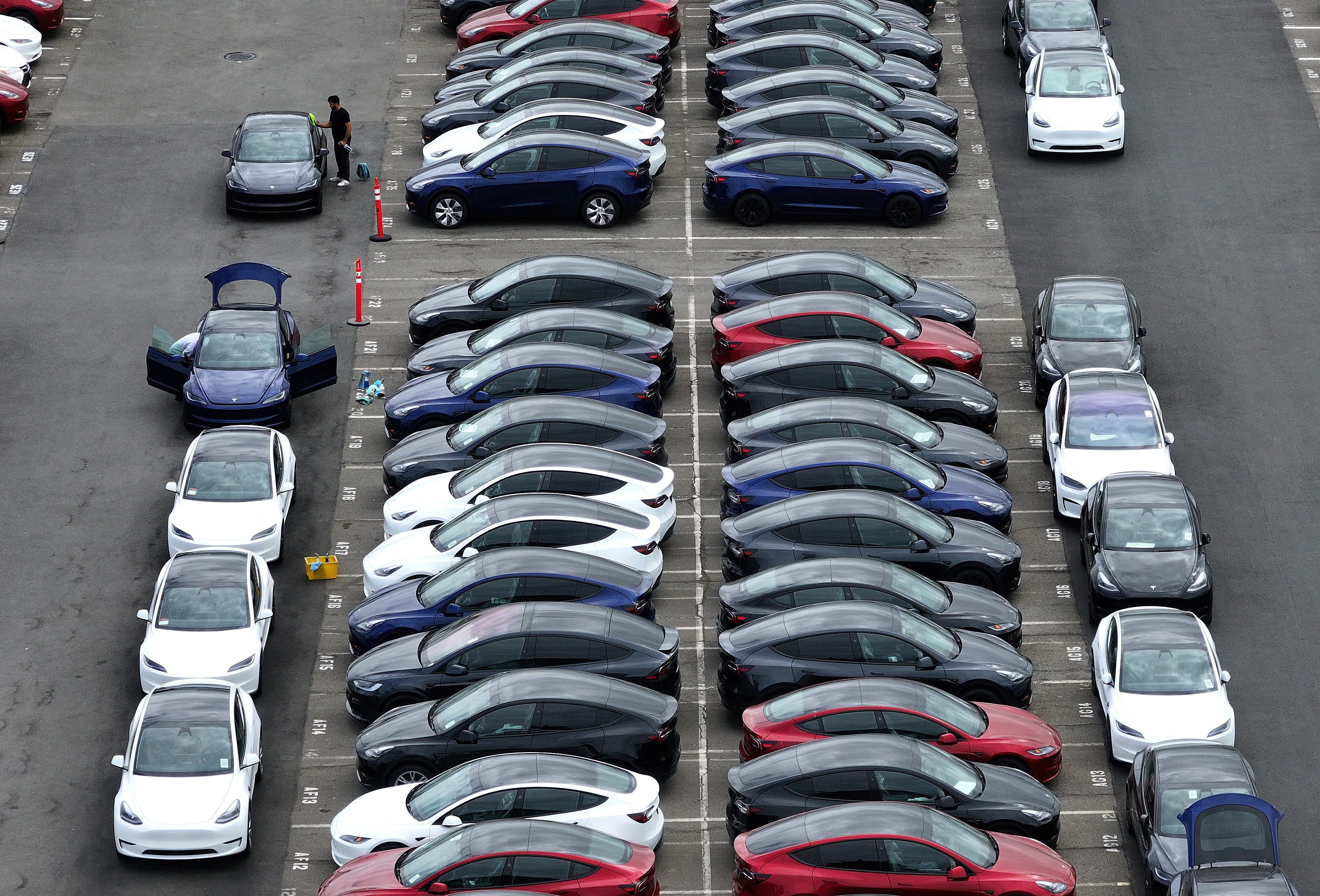 Teslas in lot