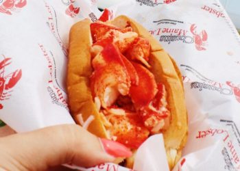 I went to Maine and ranked 5 famous lobster rolls. My favorite was served up on the water’s edge.