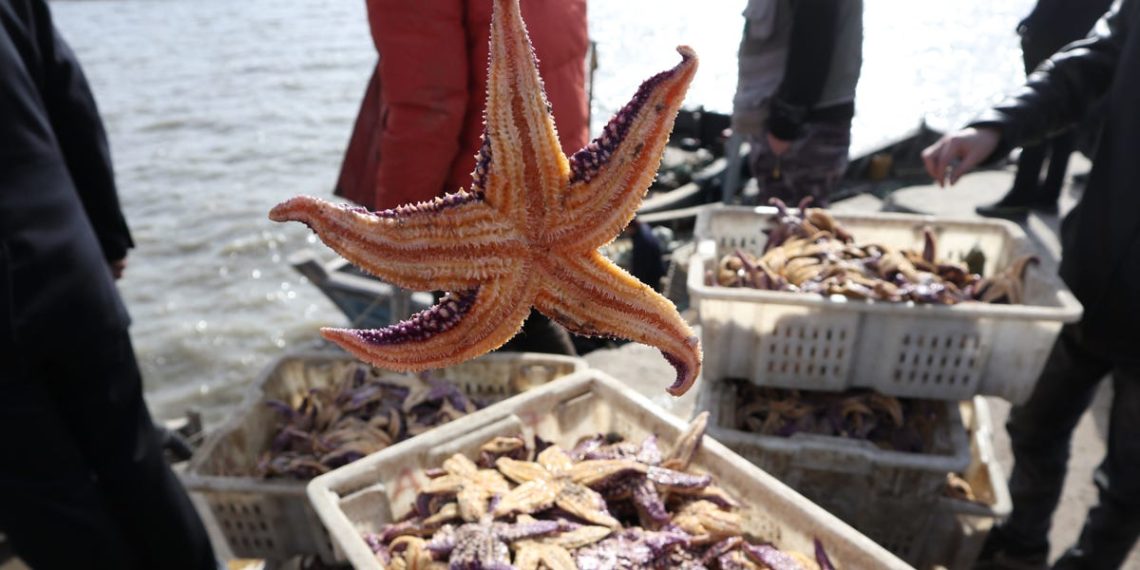 Amazon’s Starfish project is using AI to create the ultimate source of information for ‘all products worldwide’