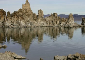 A science journal pulled a controversial study about a bizarre life form against the authors’ wishes