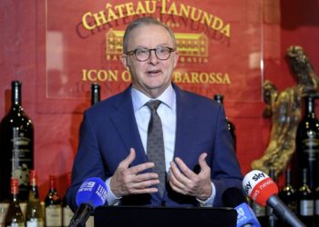 Albanese will meet with Xi next week on a trip focused on Australia-China business ties