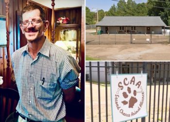 Animal shelter worker mauled to death by pit bulls rescued from dog-fighting ring