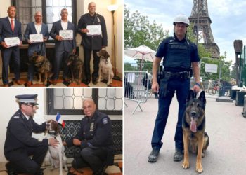 Bomb-sniffing NYPD K-9s, handlers honored at French consulate for beefing up Paris Olympics security
