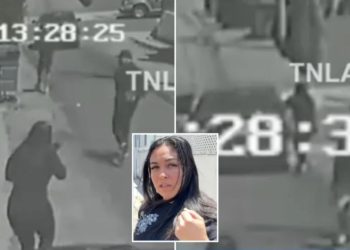 Brave mom chases down thieves, smashes window of getaway car with bare hand after catching them robbing her California home