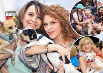 Bringing down the dog house: cute pets gather with stars at Shubert Alley for Broadway Barks adoption event