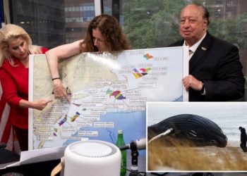 Businesses, environmentalists join forces to stop NY offshore wind project they fear will harm fishing, sea life