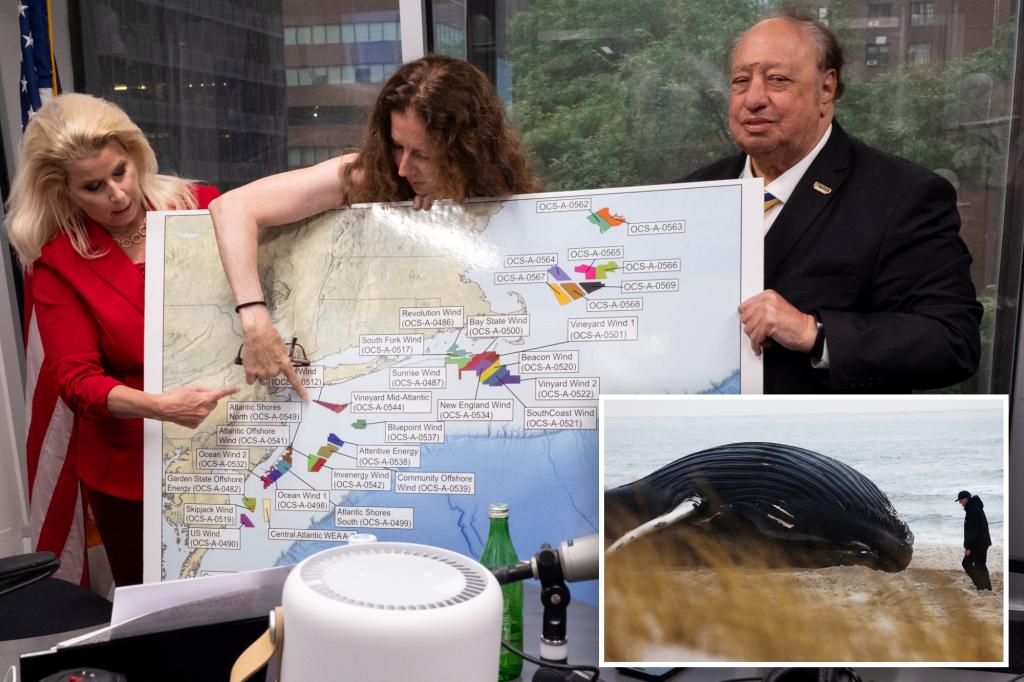 Businesses, environmentalists join forces to stop NY offshore wind project they fear will harm fishing, sea life