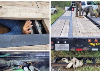 COPS: Human Smuggler Stashed Seven Illegal Aliens in Hidden Compartment of Texas Trailer