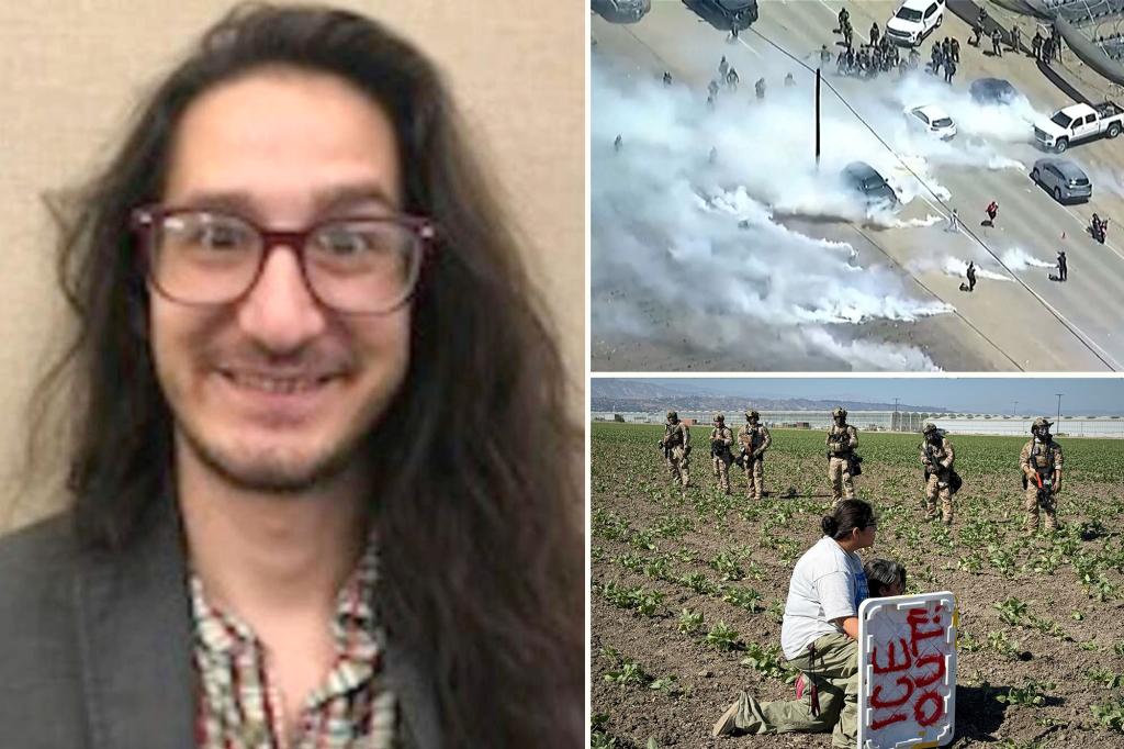 California professor arrested for  allegedly tossing tear gas canister at ICE agents during raid on cannabis farm