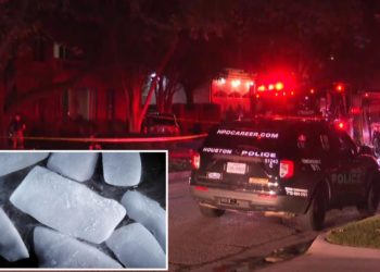 Couple killed in wine cellar mishap with dry ice as they prep for July 4 bash : reports