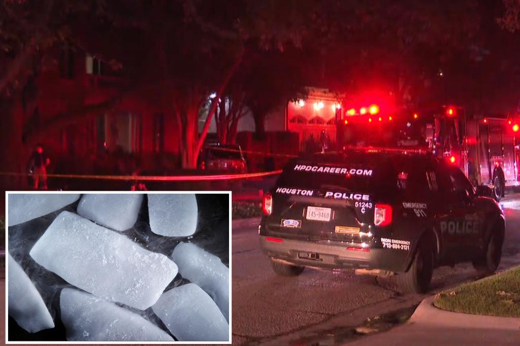 Couple killed in wine cellar mishap with dry ice as they prep for July 4 bash : reports