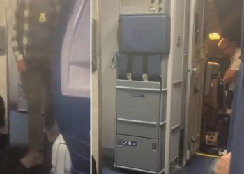 Delta Airlines pilot arrested by ICE agents moments after landing plane at San Francisco airport