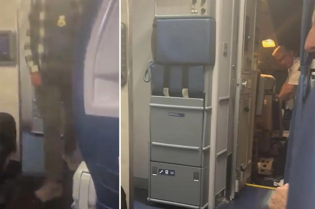 Delta Airlines pilot arrested by ICE agents moments after landing plane at San Francisco airport