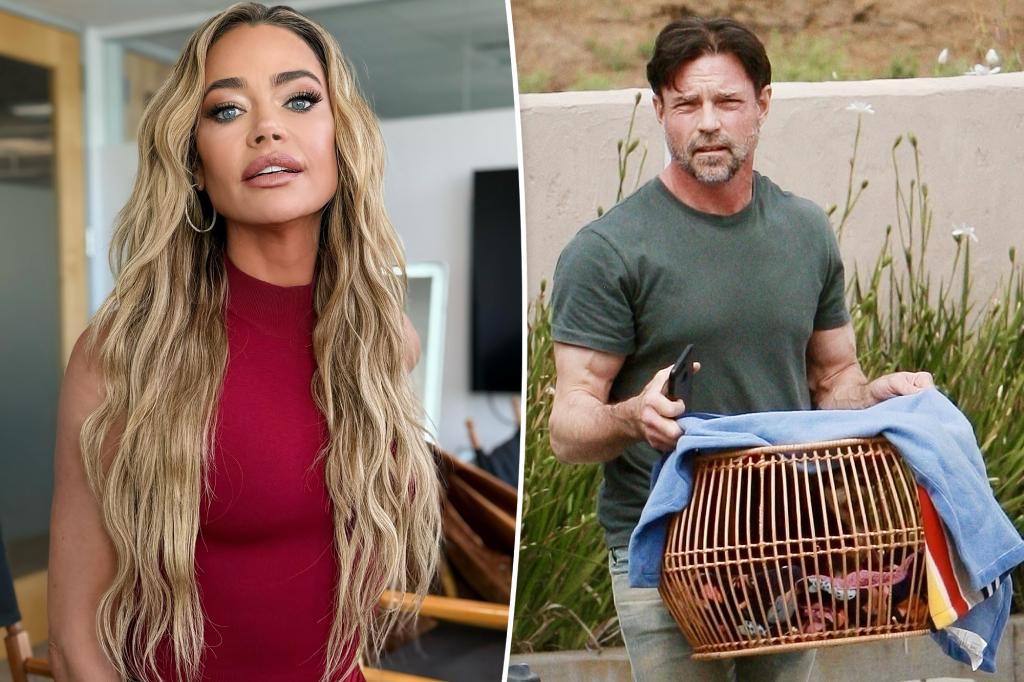 Denise Richards’ lawyer accuses Aaron Phypers of harassment and stealing as divorce battle heats up