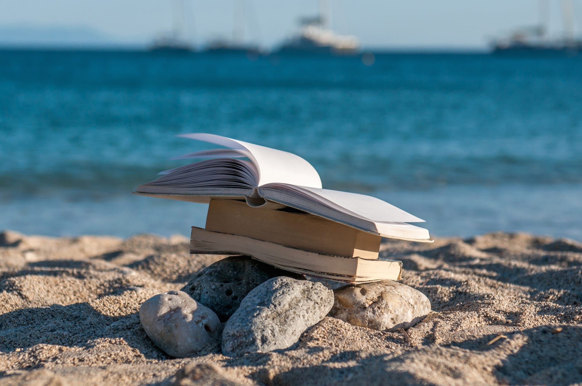 beach read book