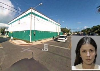 Doomed chicken crossing the road sparks wild road rage attack in Florida: ‘Teach her a lesson’