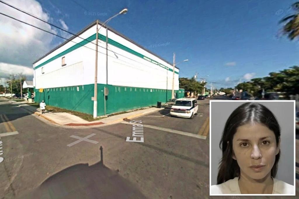 Doomed chicken crossing the road sparks wild road rage attack in Florida: ‘Teach her a lesson’