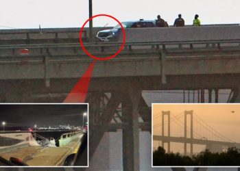 Driver missing after tractor trailer plunges off Delaware Memorial Bridge into river below