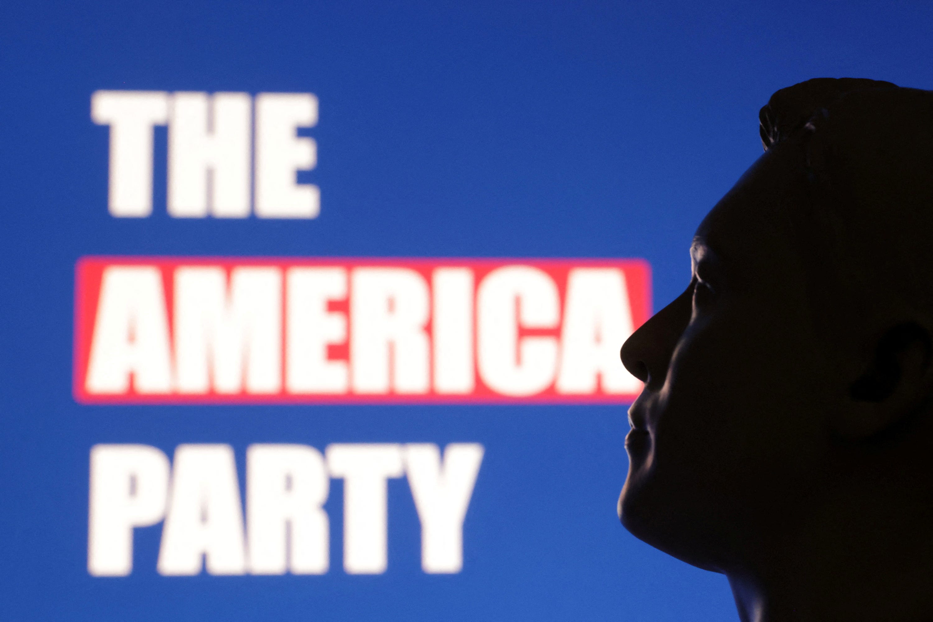 Illustration shows 3D printed miniature depicting Elon Musk and words "The America Party