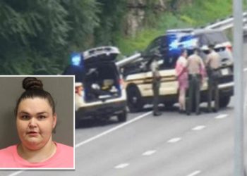 Felon leads cops on 4-hour long slow motion chase with speeds of 7 mph in stolen car