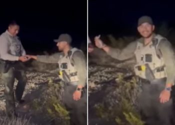 Fiendish New Mexico sheriff’s deputy fatally throws helpless baby rabbit against side of car: video shows