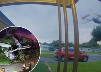 Florida small plane crash captured on dramatic home security video