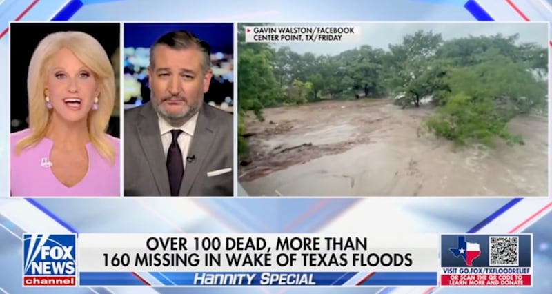 Kellyanne Conway defends Ted Cruz's vacation on Fox News.
