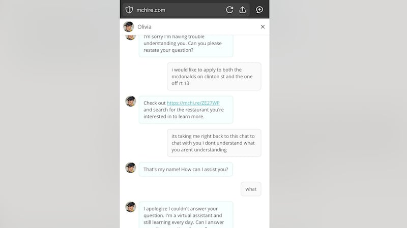 The Reddit thread r/mildlyinfuriating drew the researchers' attention to McDonald's use of the AI chatbot to recruit new hires. The caption of the post reads: