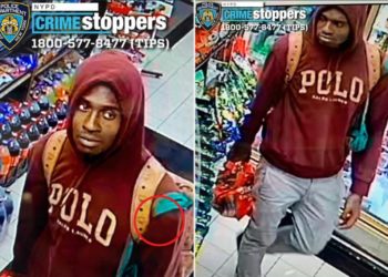 Heartless killer seen pouring flammable liquid on pit bull before setting dog on fire in NYC