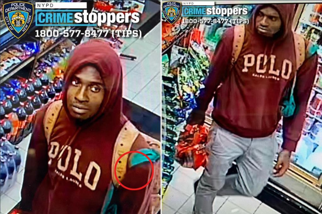 Heartless killer seen pouring flammable liquid on pit bull before setting dog on fire in NYC