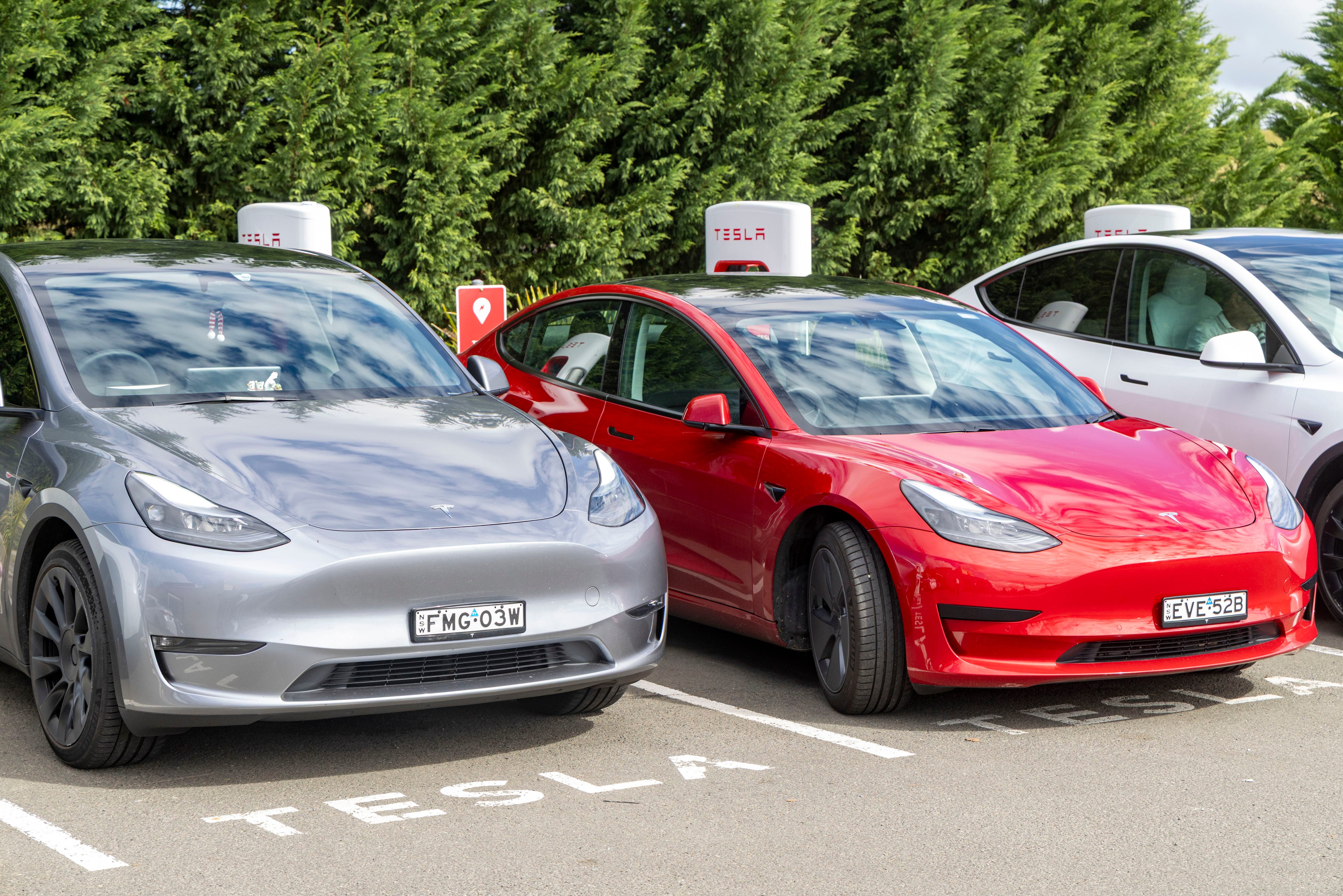Tesla Model 3 and Model Y