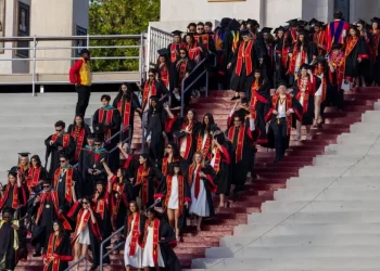 Here are the lowest- and highest-paying majors for college graduates