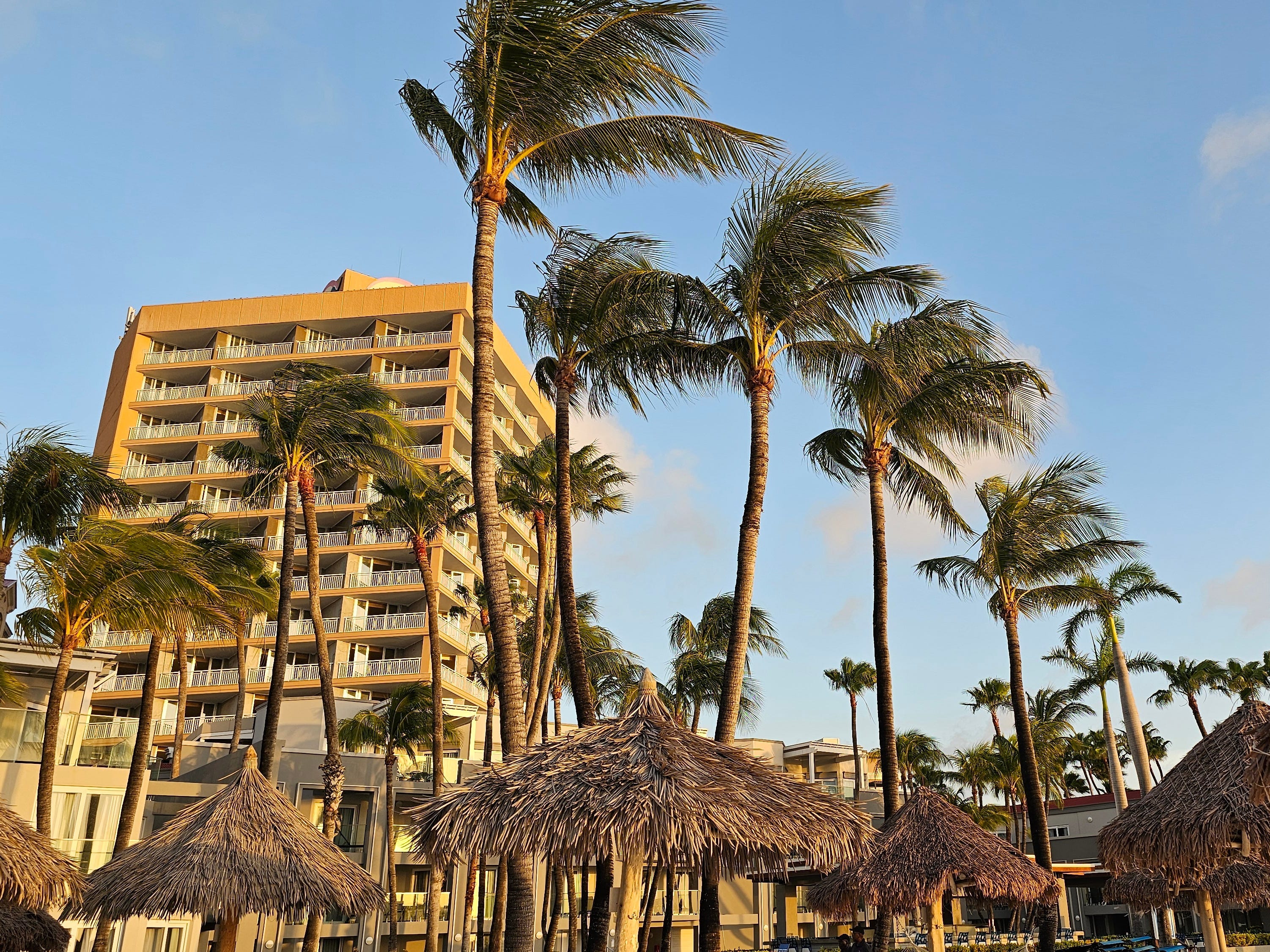 Roof huts and palm trees swaying in the wind, with a hotel in the background in Aruba.
